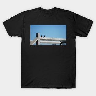 Rottnest Swallows T-Shirt